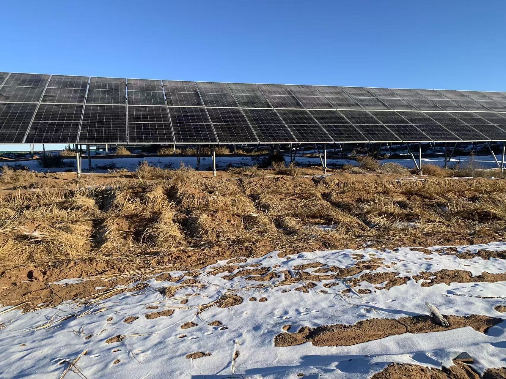 Solar arrays over grazing land in Wuwei, Gansu